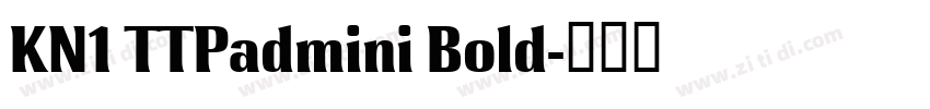 KN1 TTPadmini Bold字体转换